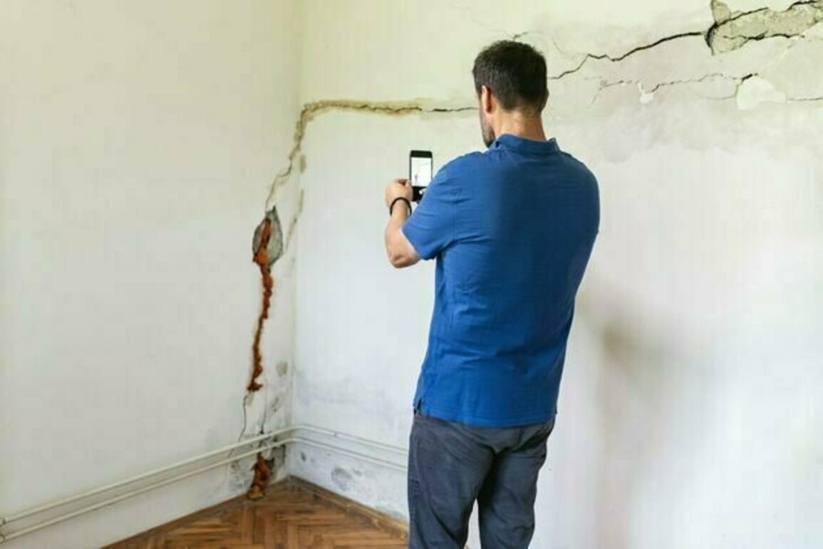 Managing mould, housemates, and landlords: new research reveals sharehousing horror stories