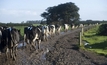 Mixed results from national dairy survey