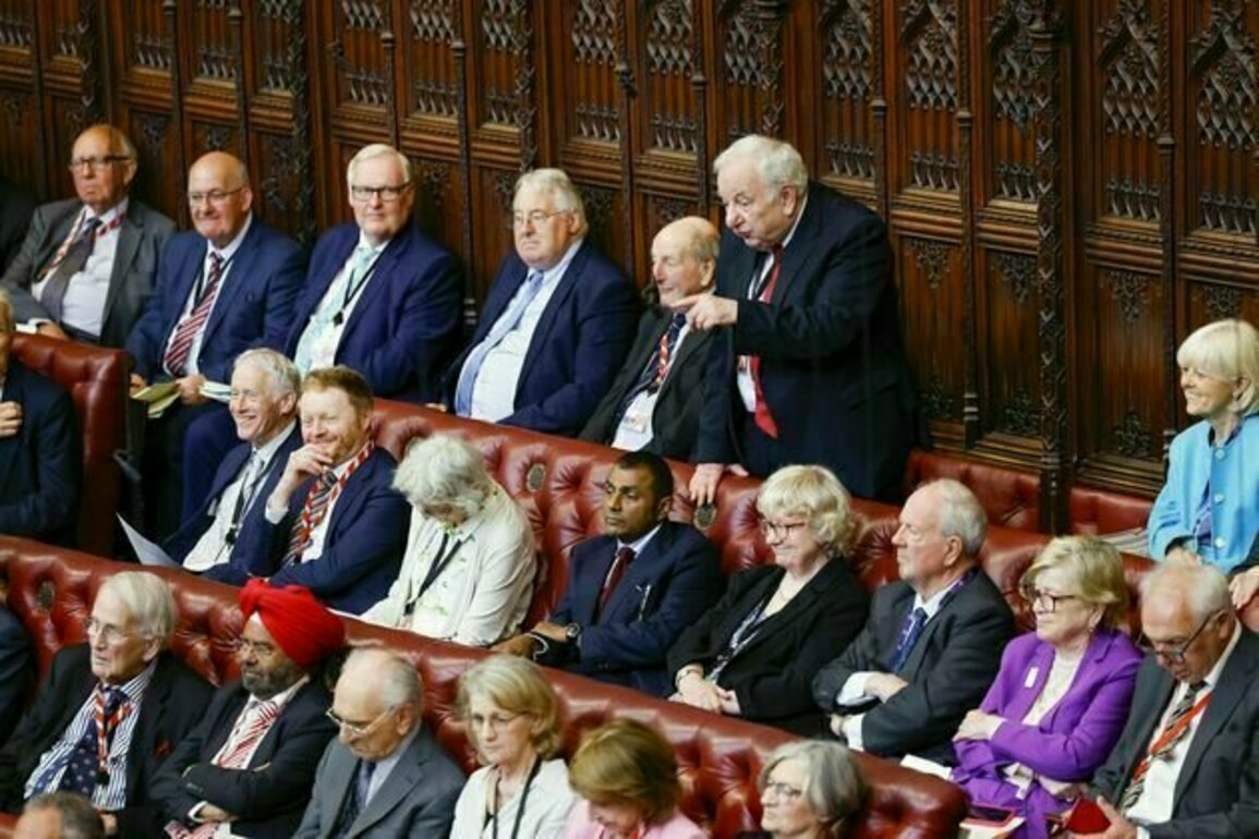 Peers elevated to the House of Lords after a career in the House of Commons are often merely being rewarded for loyalty - new study
