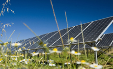 Study: Solar farms could help boost numbers of birds and wildlife