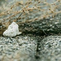 Chewing gum is plastic pollution, not a litter problem