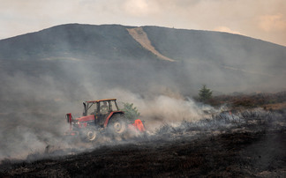 Wildfire prevention: protecting your farm before it is too late
