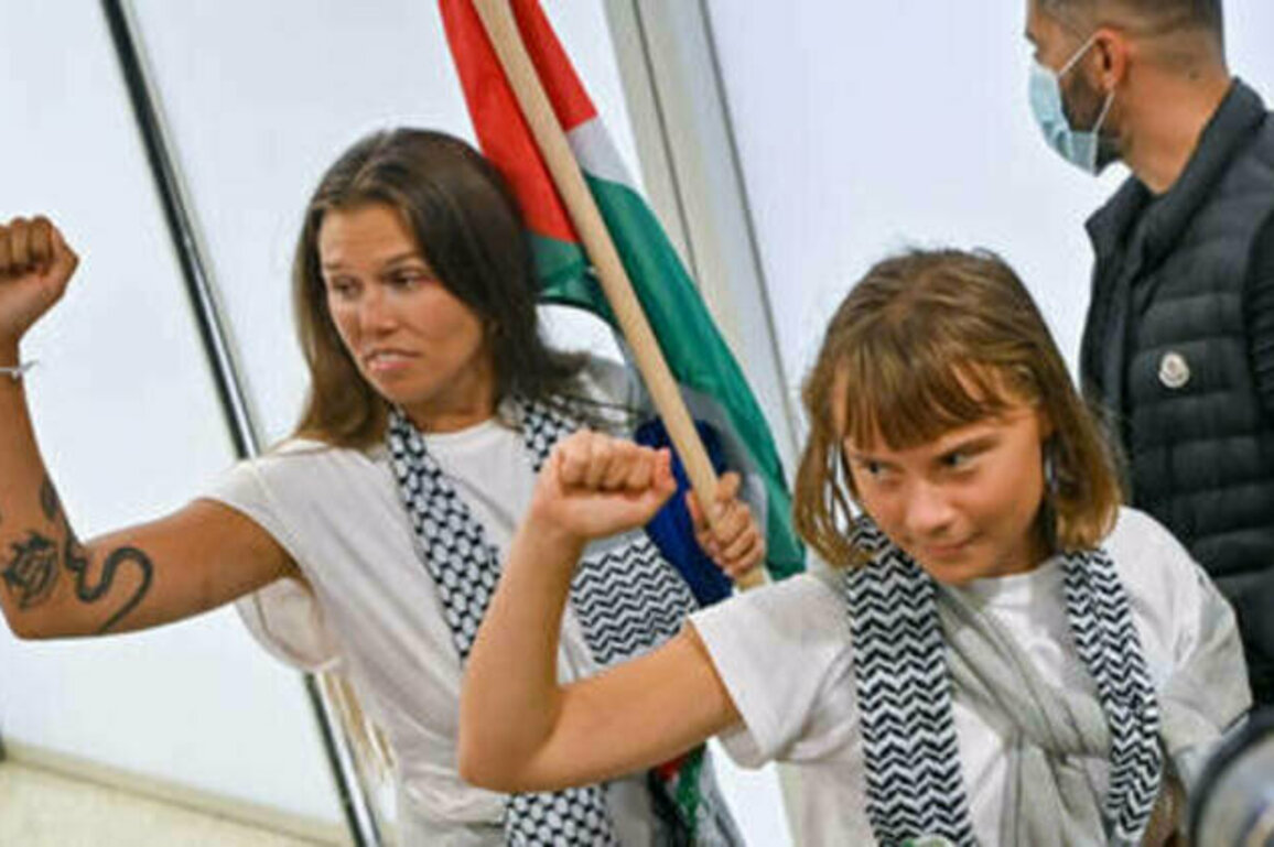 Thunberg's activist pal bit medic in jail - Israel