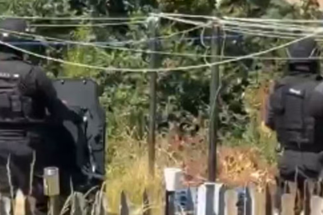 Armed police in Edinburgh housing estate amid 'weapons' incident