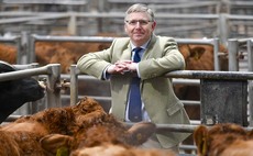 Innovation will ensure marts are fit for the future