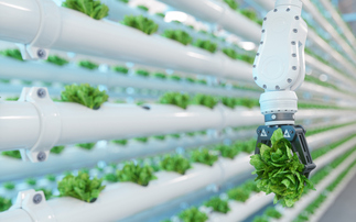 'A critical fork in the road': Is the world heading for a 'renewable food system' - or an era of climate-driven hunger?