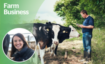 Opinion: Dairy farmers are not out of the woods yet