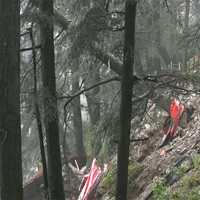 Heavy rain triggers landslide, tree uprooting near CM's residence in Shimla; house vacated, residents moved to safety
