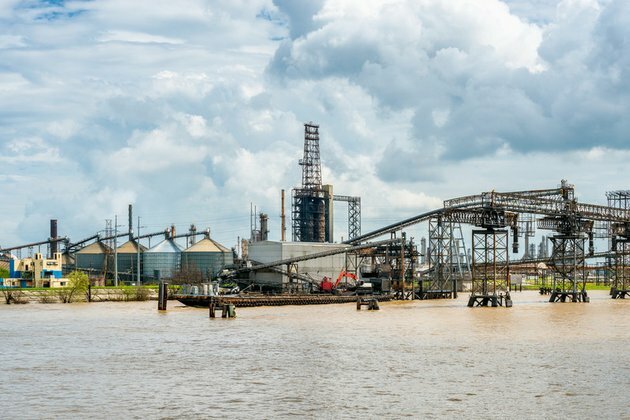 Ruptured pipeline kills thousands of animals