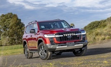 Toyota's new hybrid LandCruiser 300 series has almost 800Nm of torque.