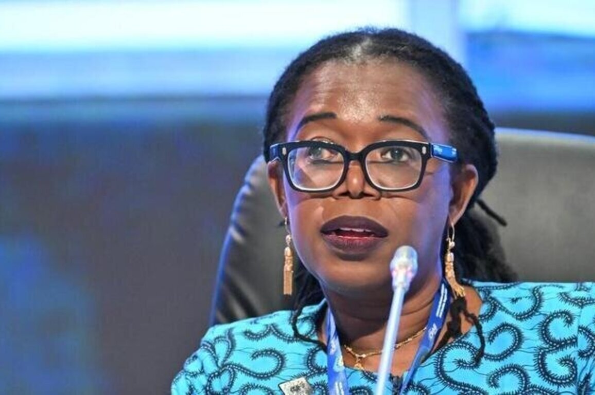 CoM 2026, Committee of Experts - Opening remarks by Deputy Executive Secretary Mama Keita