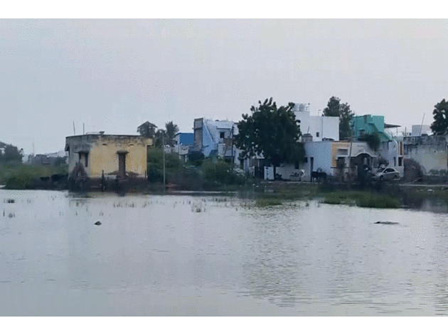 Tamil Nadu: Salt production halts in Thoothukudi as stagnant rainwater causes trouble