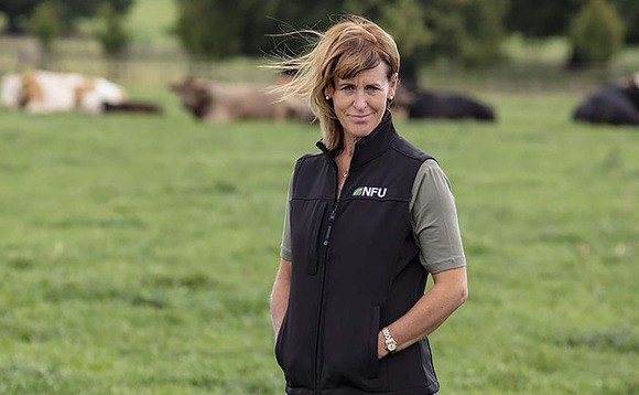 Time is running out for Government to get behind farming, warns NFU