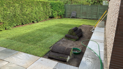Fighting against artificial lawn misinformation