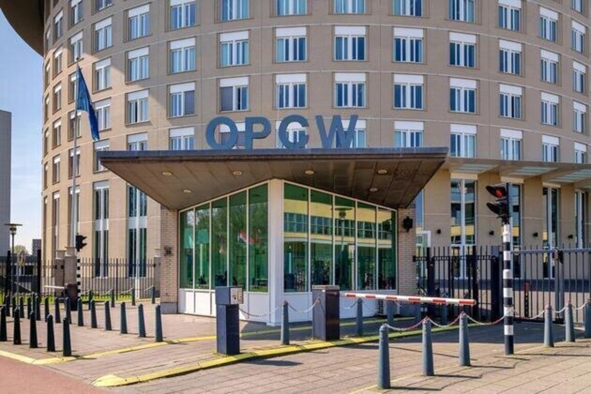 OPCW to review suspension of Syrias rights