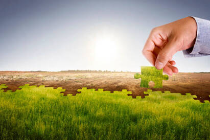 Tackling biodiversity challenges with nature-positive solutions