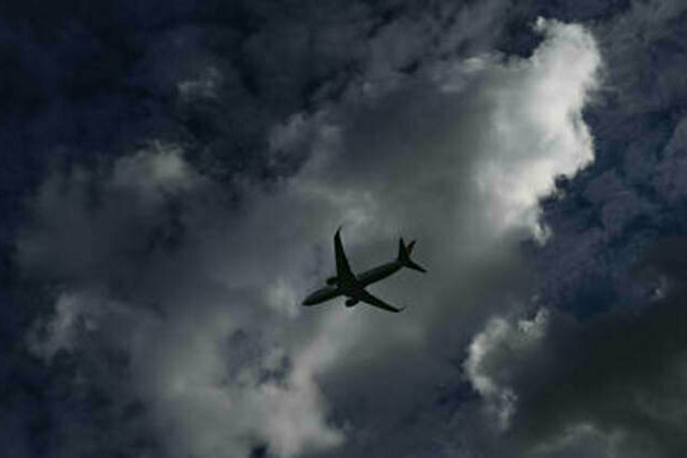 Disturbing photos prompt panic on plane