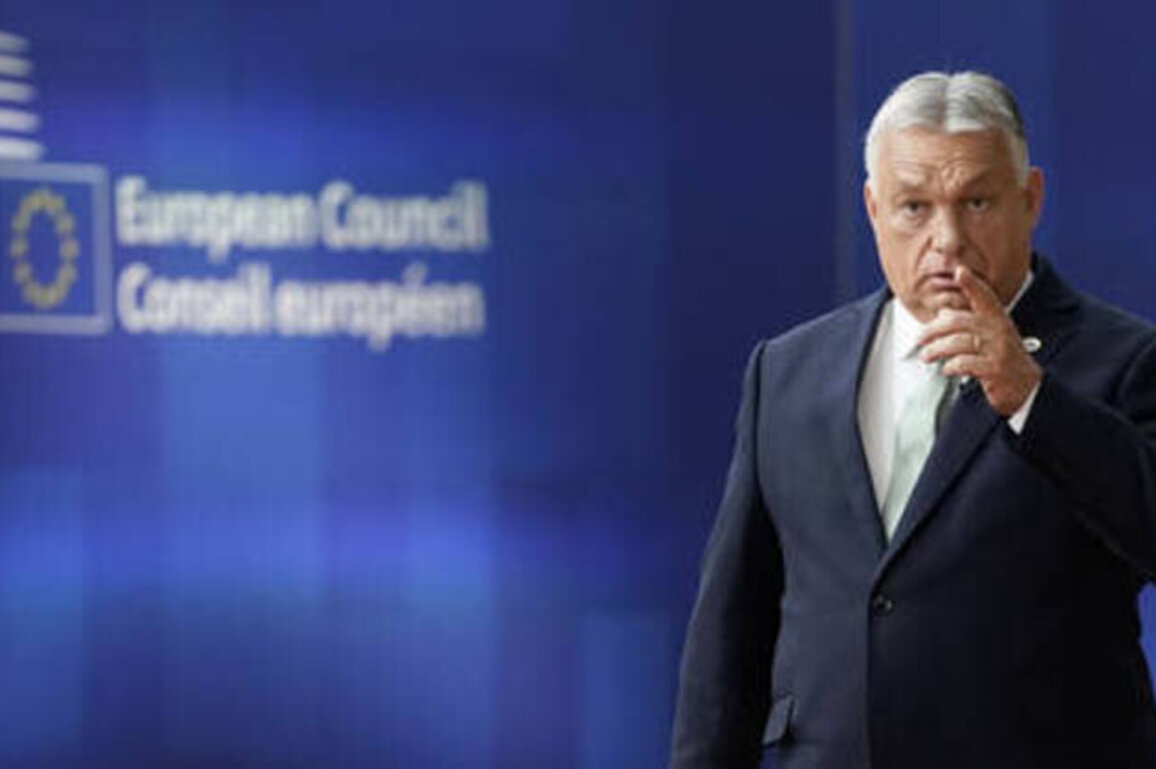 Europeans' grandchildren would pay for new Ukraine loan - Orban