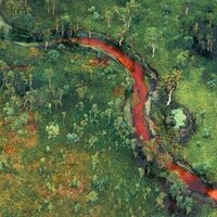 'Those paintings belong to us': how an Indigenous-led project is harnessing technology to protect Kakadu's rock art