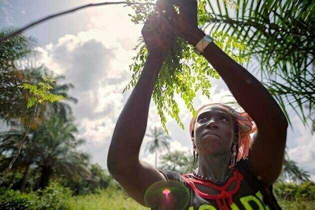 Five ways to build gender equality and sustainability