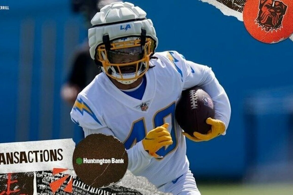 Browns sign WR Jaelen Gill