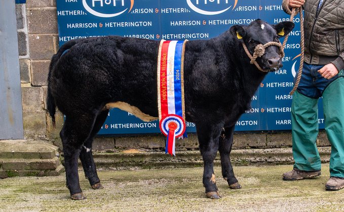 Highlights of livestock sales from around the UK