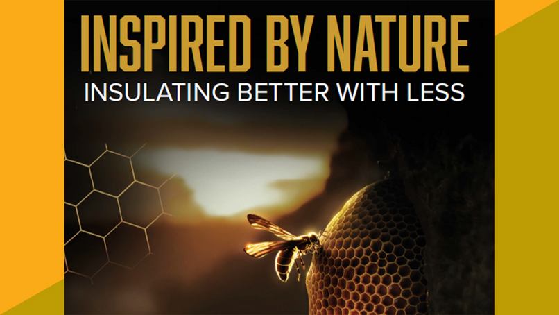 Actis uses bee motif to illustrate how its products are inspired by nature
