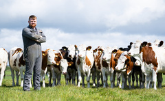 Three generations, one breed: How Montbeliardes drive organic dairy success on the Scottish coast 