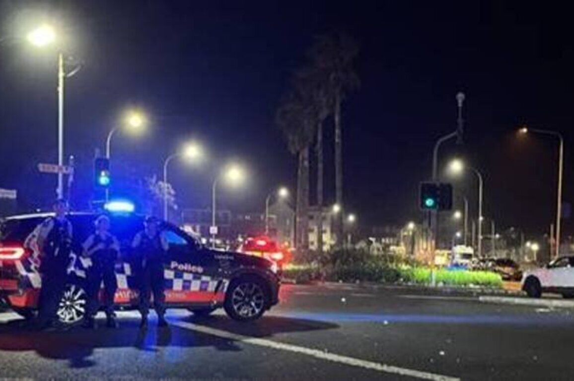 Sydney shooting an 'anti-Semitic terrorist attack' - Australian PM