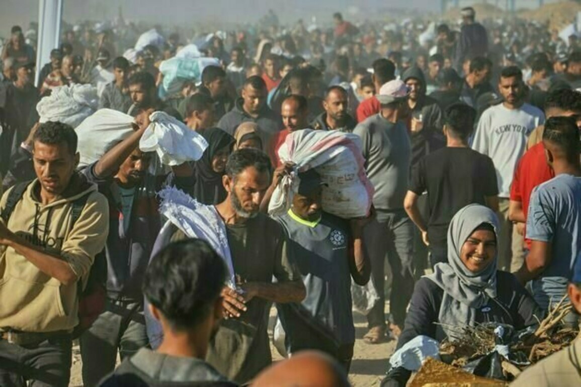 Plans to relocate Gazans to a 'humanitarian city' look like a crime against humanity - international law expert