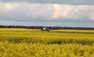 Tools to help canola challenges
