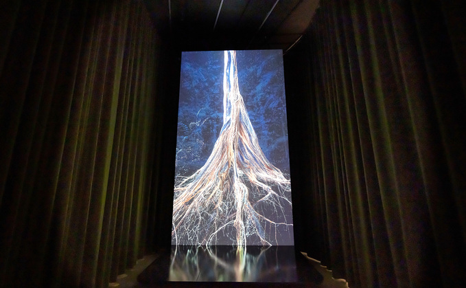 'Sanctuary of the Unseen Forest' by Marshmallow Laser Feast & Andres Roberts, Our Time on Earth, Barbican Centre 2022 | Credit: Tim Whitby / Getty Images