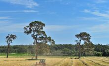 A man was killed on a Victorian farm last week after being crushed between a tractor and a hay rake attachment. 