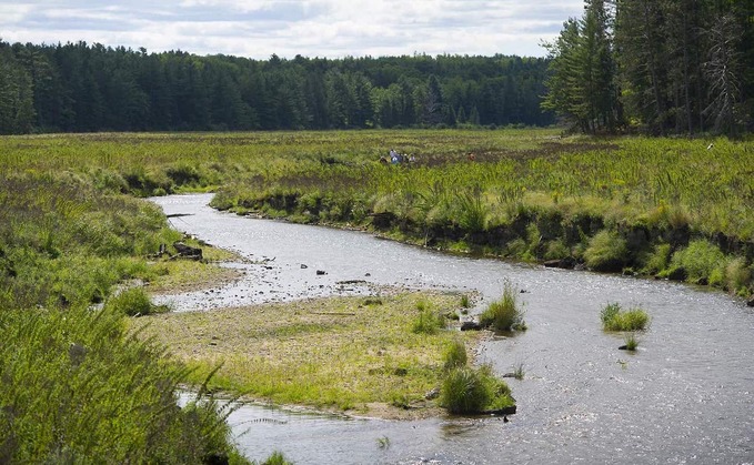 The Big Wild Forest Carbon Project, started in spring 2021, became the first state land generating credits. Those have been promised to the Detroit-based energy company DTE / Credit: Michigan Department of Natural Resources