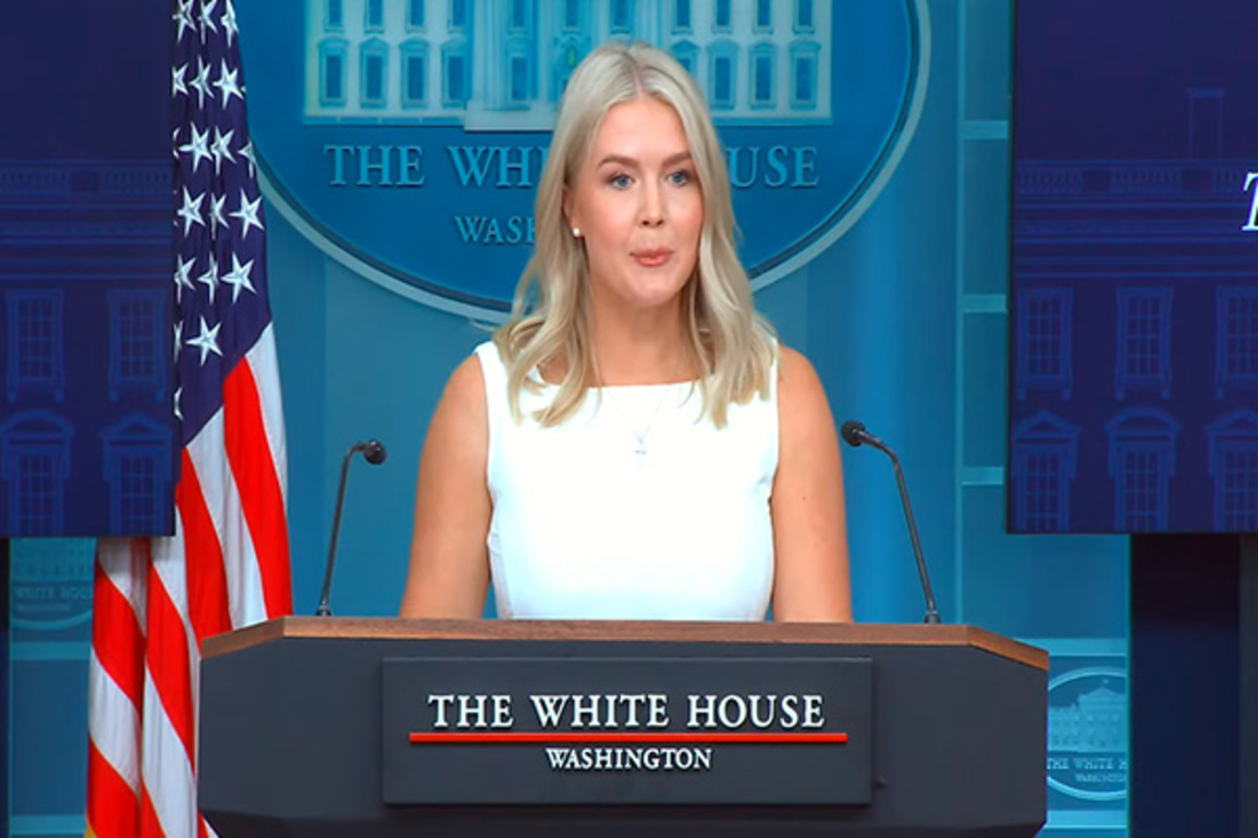 Media has been "actively rooting" against Trump's peace efforts: White House