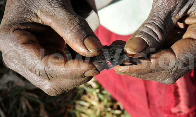 80% of Pokot women still undergoing genital mutilation-study 80% of Pokot women still undergoing genital mutilation-study