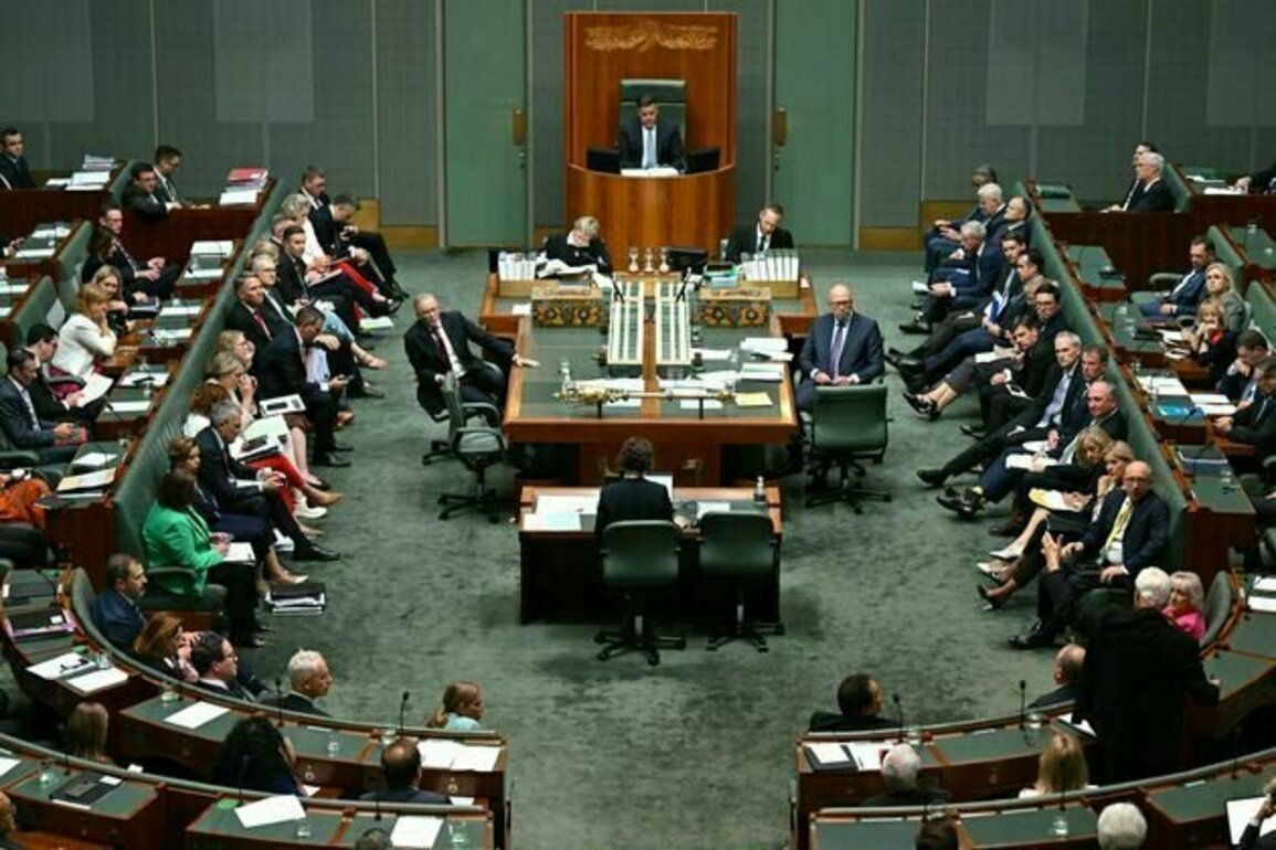 How might the House of Representatives shape up after the 2025 federal election?