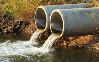 Water company failures impact protected waters for wildlife 