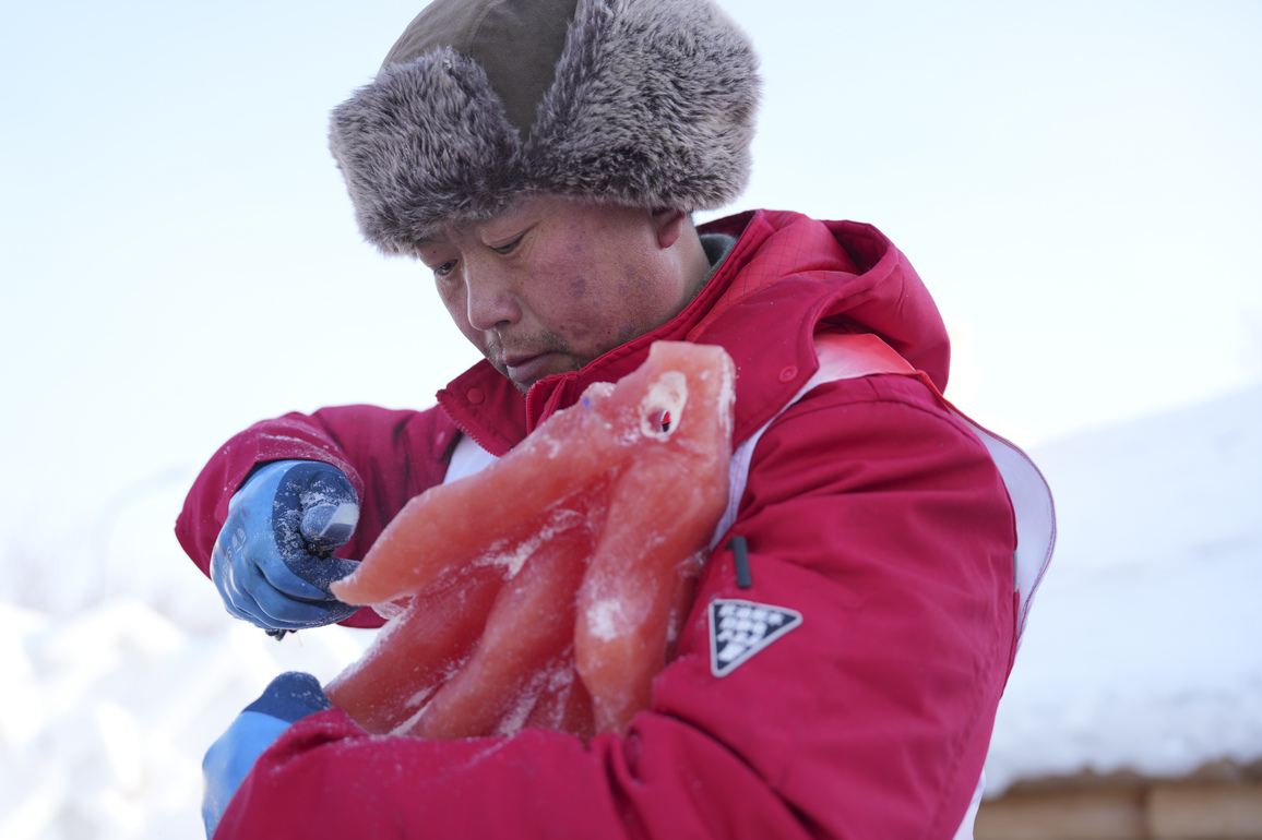 CHINA-HEILONGJIANG-HARBIN-PLANT-DYED-ICE SCULPTURES (CN)