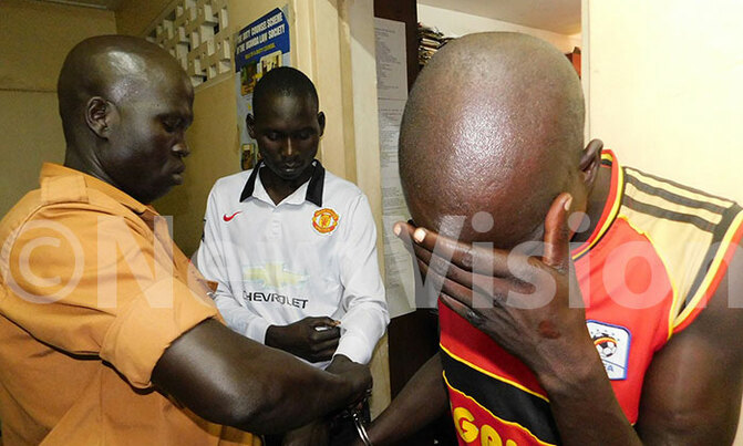 Man supposed to protect animals charged for tormenting them Man supposed to protect animals charged for tormenting them