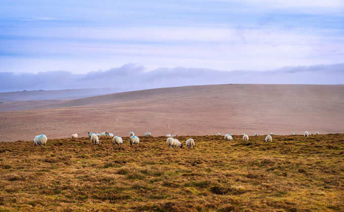 Letters: "Hill farming's role in our traditional integrated agricultural system needs recognition"