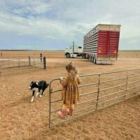 The drought is back - we need a new way to help farmers survive tough times