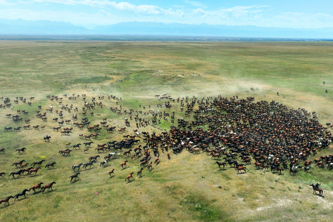 CHINA-XINJIANG-ZHAOSU-HORSE-TOURISM (CN)
