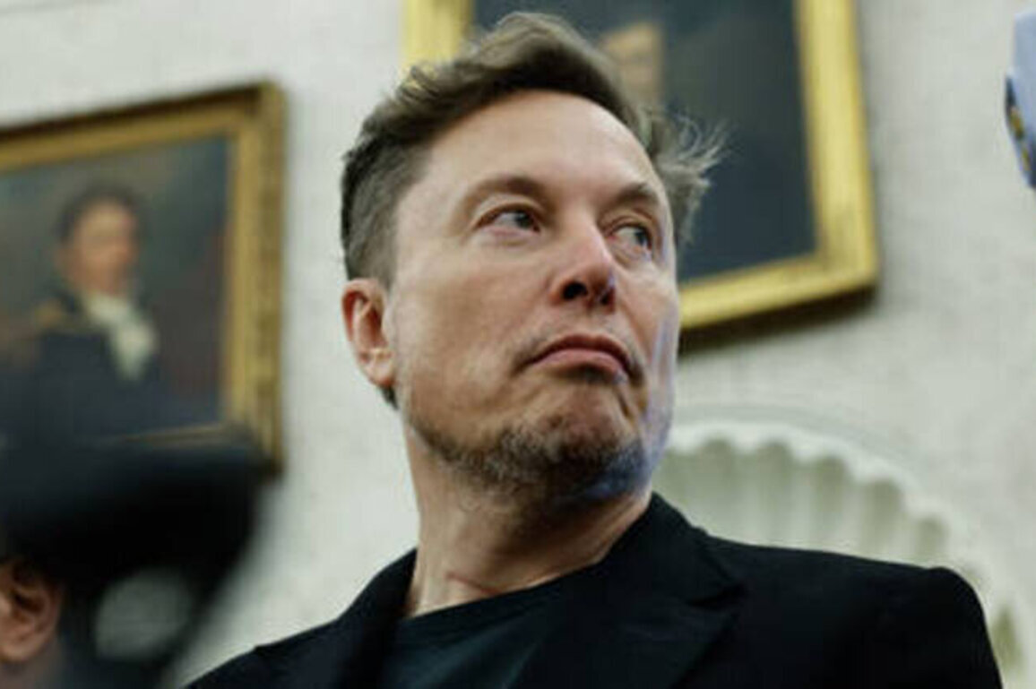 Elon Musk spreading lies against South Africa - presidency