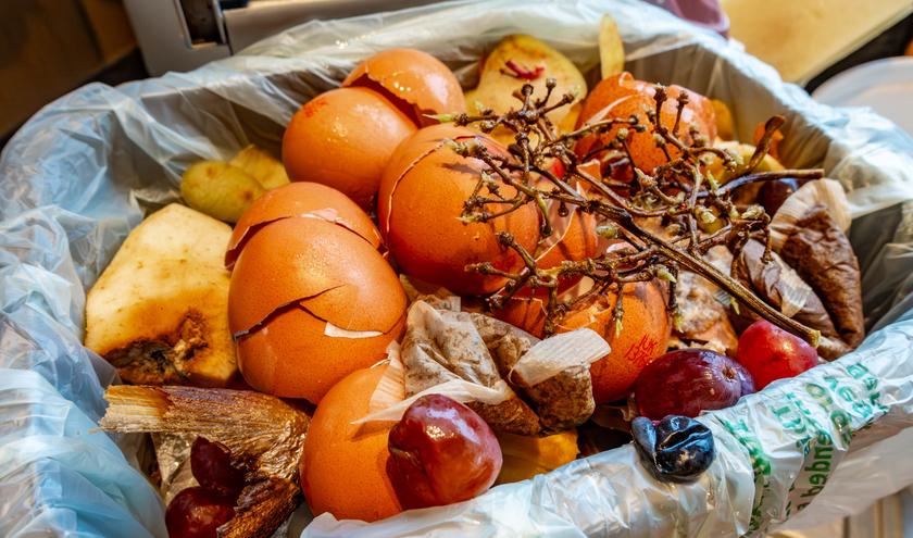 © Matthew Ashmore/shutterstock