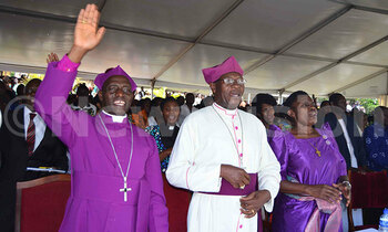 Bishopppp 350x210