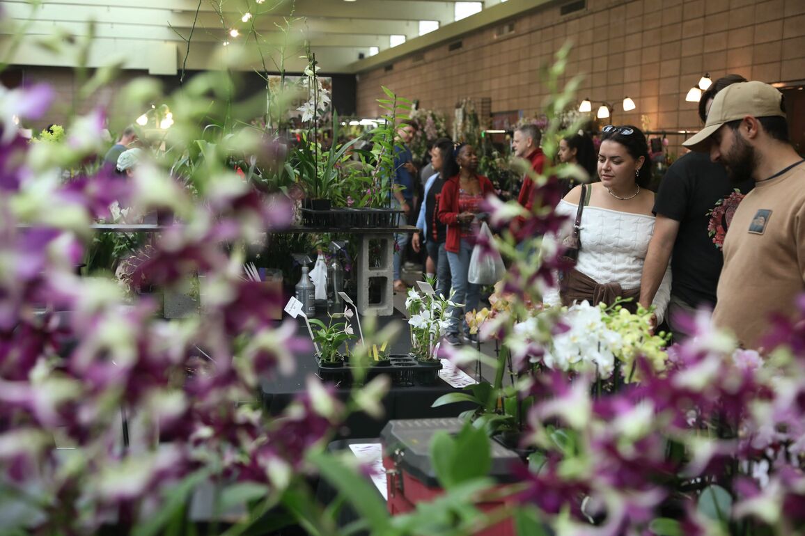 U.S.-SAN FRANCISCO-ORCHID-EXPO