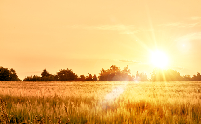  share their #WinOfTheDay across social media to spread positivity ahead of #farm24