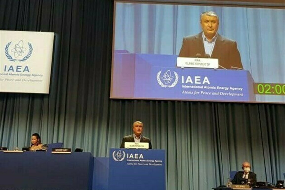 Iran Wont Relinquish NPT Rights: Nuclear Chief