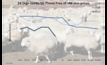 Lamb skin prices 2017-19. Data source: MLA